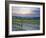 Vineyard at Sunset Above the Village of Torrenieri, Near San Quirico D'Orcia, Tuscany-Lee Frost-Framed Photographic Print