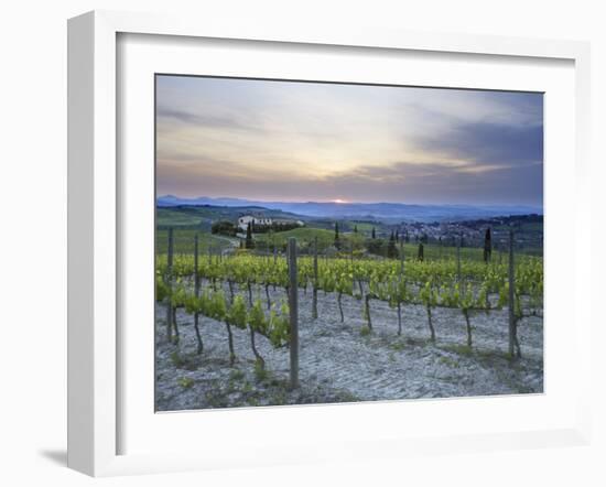 Vineyard at Sunset Above the Village of Torrenieri, Near San Quirico D'Orcia, Tuscany-Lee Frost-Framed Photographic Print