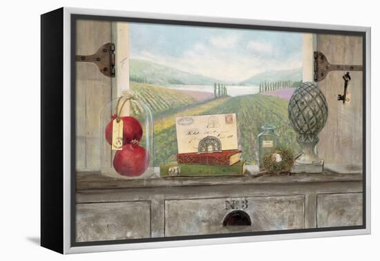 Vineyard Chateau View-Arnie Fisk-Framed Stretched Canvas