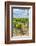 Vineyard, Chateauneuf du Pape, France-Jim Engelbrecht-Framed Photographic Print