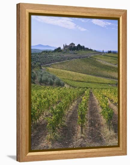 Vineyard, Chianti, Italy-Rob Tilley-Framed Premier Image Canvas