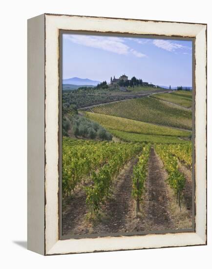 Vineyard, Chianti, Italy-Rob Tilley-Framed Premier Image Canvas