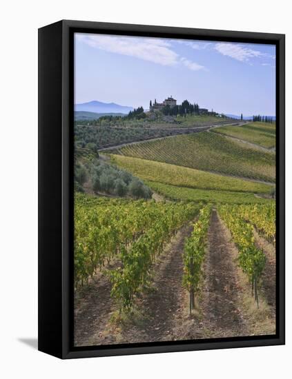 Vineyard, Chianti, Italy-Rob Tilley-Framed Premier Image Canvas