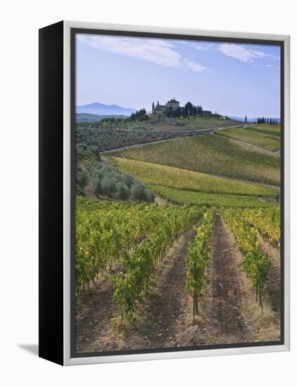 Vineyard, Chianti, Italy-Rob Tilley-Framed Premier Image Canvas