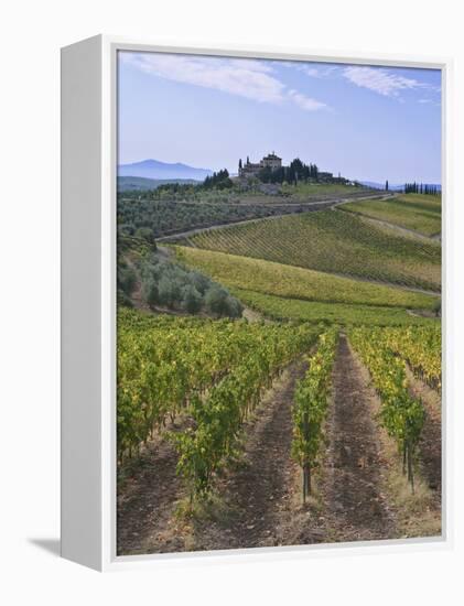 Vineyard, Chianti, Italy-Rob Tilley-Framed Premier Image Canvas