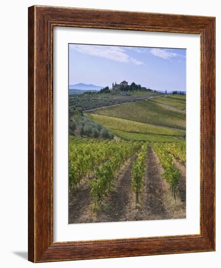 Vineyard, Chianti, Italy-Rob Tilley-Framed Photographic Print