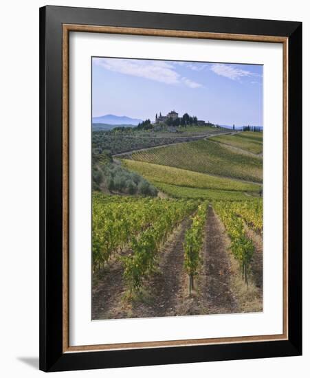 Vineyard, Chianti, Italy-Rob Tilley-Framed Photographic Print