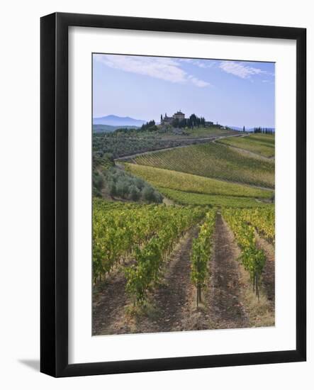 Vineyard, Chianti, Italy-Rob Tilley-Framed Photographic Print
