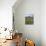 Vineyard, Chianti, Italy-Rob Tilley-Mounted Photographic Print displayed on a wall