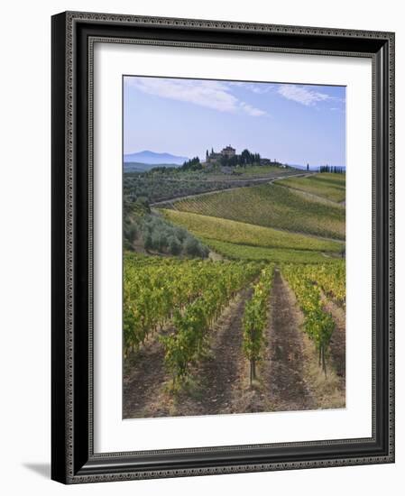 Vineyard, Chianti, Italy-Rob Tilley-Framed Photographic Print