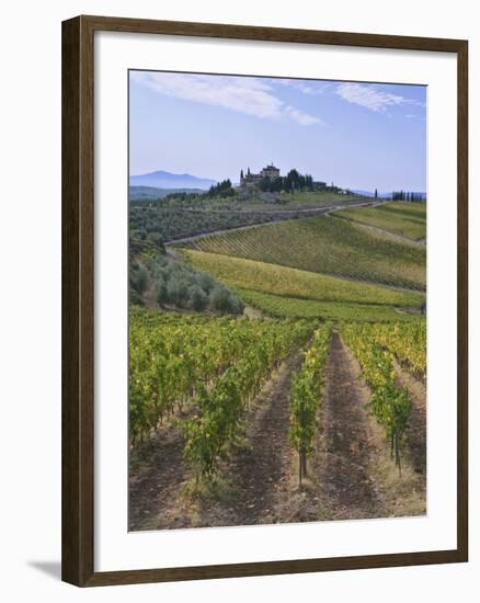 Vineyard, Chianti, Italy-Rob Tilley-Framed Photographic Print