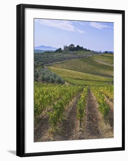 Vineyard, Chianti, Italy-Rob Tilley-Framed Photographic Print