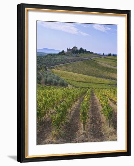 Vineyard, Chianti, Italy-Rob Tilley-Framed Photographic Print