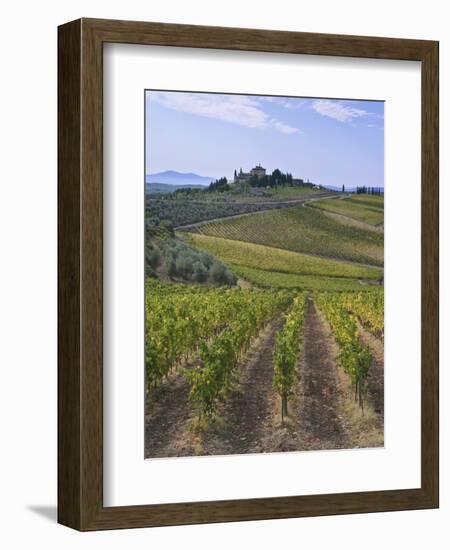 Vineyard, Chianti, Italy-Rob Tilley-Framed Photographic Print