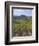 Vineyard, Chianti, Italy-Rob Tilley-Framed Photographic Print