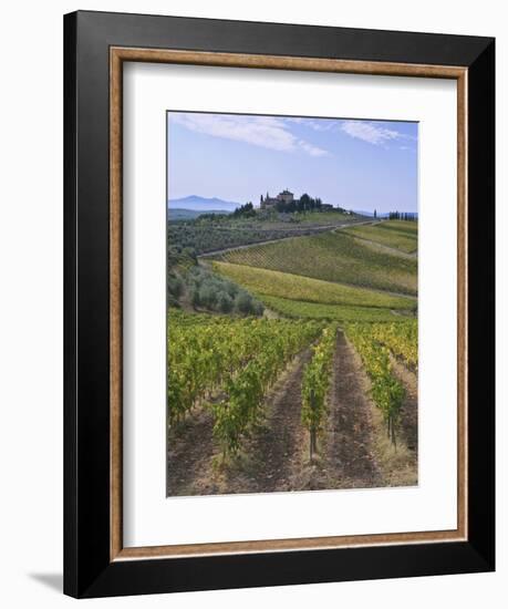 Vineyard, Chianti, Italy-Rob Tilley-Framed Photographic Print