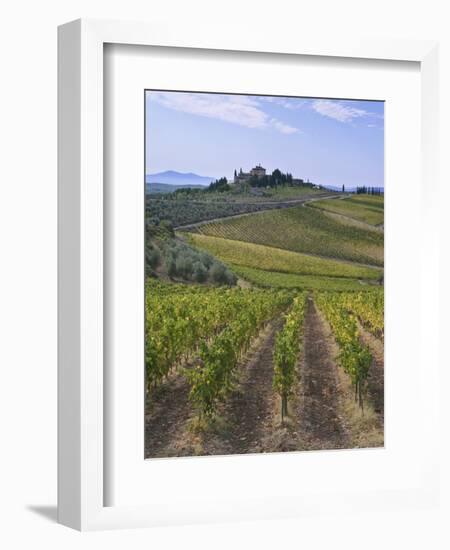 Vineyard, Chianti, Italy-Rob Tilley-Framed Photographic Print