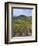 Vineyard, Chianti, Italy-Rob Tilley-Framed Photographic Print