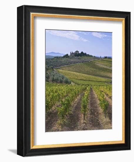 Vineyard, Chianti, Italy-Rob Tilley-Framed Photographic Print