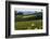 Vineyard, Chinon, Indre Et Loire, Centre, France, Europe-Nathalie Cuvelier-Framed Photographic Print