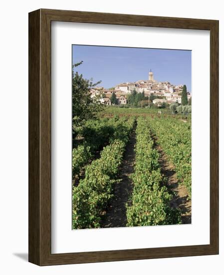 Vineyard, Cote Du Rhone, Sablet, Vaucluse, Provence, France-John Miller-Framed Photographic Print