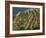 Vineyard, Dalmatian Coast, Croatia-Charles Bowman-Framed Photographic Print