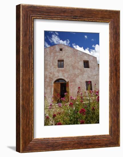 Vineyard, Gibbston Valley, Near Queenstown, Otago, South Island, New Zealand-David Wall-Framed Photographic Print