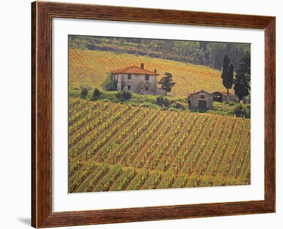 Vineyard, Greve in Chianti, Tuscany, Italy-Walter Bibikow-Framed Photographic Print