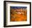 Vineyard Hill-Philip Craig-Framed Art Print