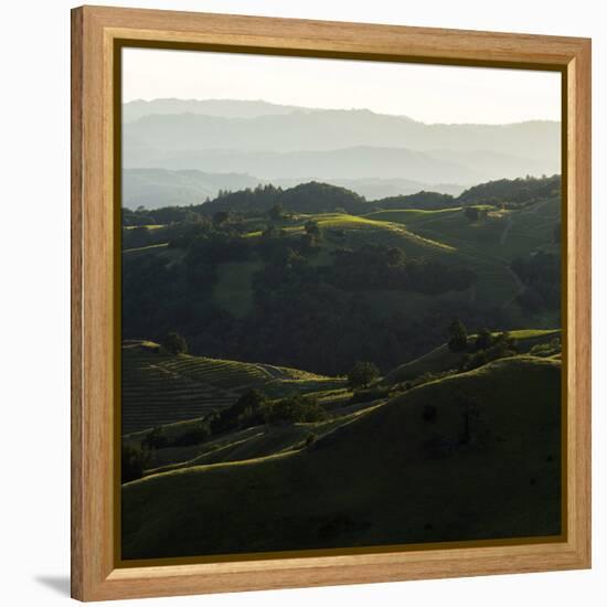 Vineyard Hills-Lance Kuehne-Framed Stretched Canvas