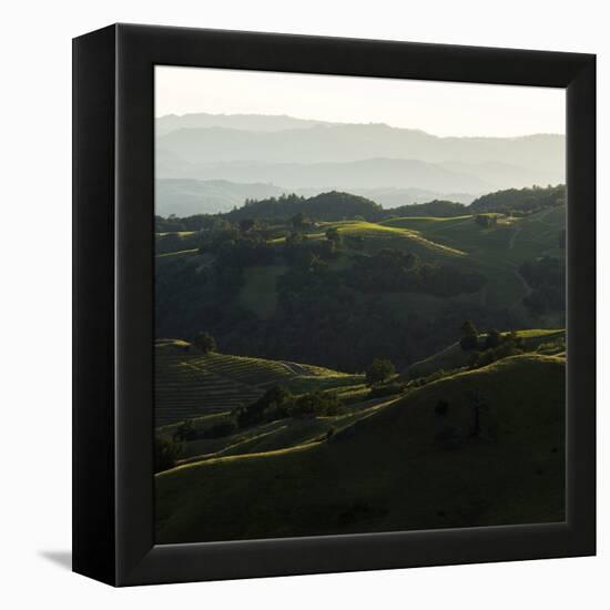 Vineyard Hills-Lance Kuehne-Framed Stretched Canvas