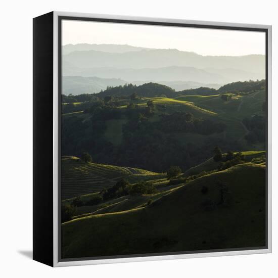 Vineyard Hills-Lance Kuehne-Framed Stretched Canvas