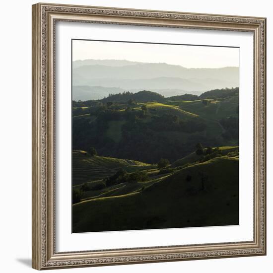 Vineyard Hills-Lance Kuehne-Framed Photographic Print