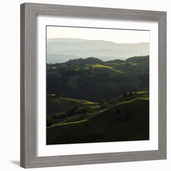 Vineyard Hills-Lance Kuehne-Framed Photographic Print