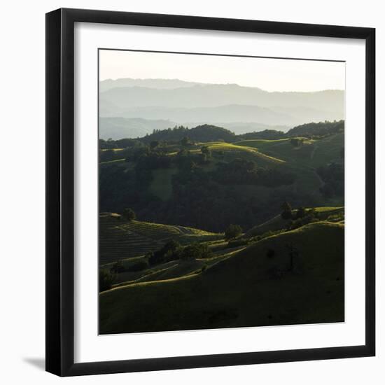 Vineyard Hills-Lance Kuehne-Framed Photographic Print