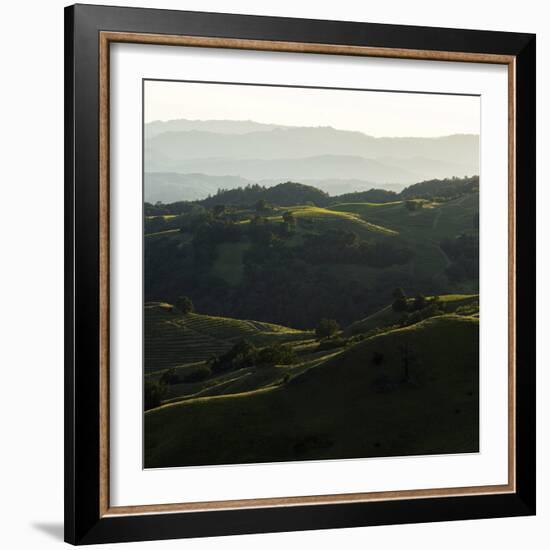 Vineyard Hills-Lance Kuehne-Framed Photographic Print