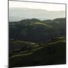 Vineyard Hills-Lance Kuehne-Mounted Photographic Print