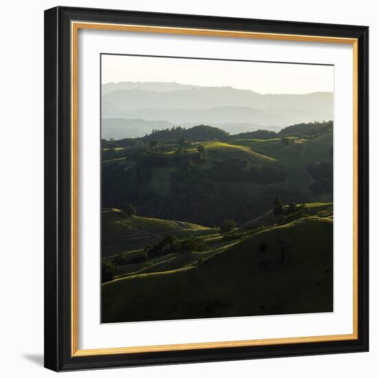 Vineyard Hills-Lance Kuehne-Framed Photographic Print