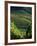 Vineyard in Entre-Deux-Mers Area-Owen Franken-Framed Photographic Print