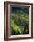 Vineyard in Entre-Deux-Mers Area-Owen Franken-Framed Photographic Print