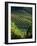 Vineyard in Entre-Deux-Mers Area-Owen Franken-Framed Photographic Print