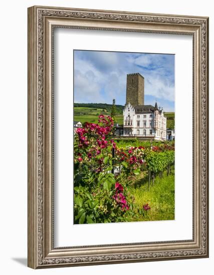 Vineyard in Front of the Bruemserburg in Ruedesheim (Rudesheim) on the River Rhine-Michael Runkel-Framed Photographic Print