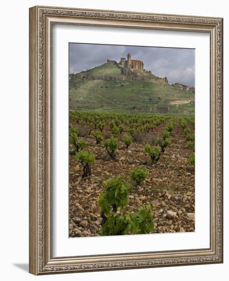 Vineyard in stony soil with San Vicente de la Sonsierra Village, La Rioja, Spain-Janis Miglavs-Framed Photographic Print