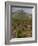 Vineyard in stony soil with San Vicente de la Sonsierra Village, La Rioja, Spain-Janis Miglavs-Framed Photographic Print