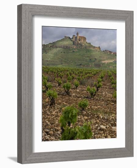 Vineyard in stony soil with San Vicente de la Sonsierra Village, La Rioja, Spain-Janis Miglavs-Framed Photographic Print