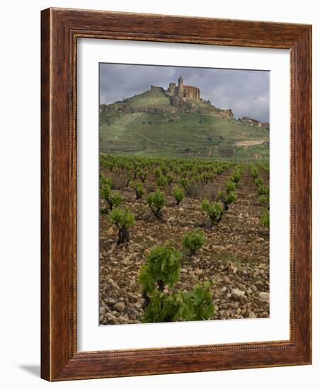 Vineyard in stony soil with San Vicente de la Sonsierra Village, La Rioja, Spain-Janis Miglavs-Framed Photographic Print