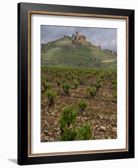 Vineyard in stony soil with San Vicente de la Sonsierra Village, La Rioja, Spain-Janis Miglavs-Framed Photographic Print