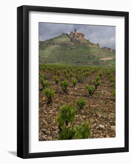 Vineyard in stony soil with San Vicente de la Sonsierra Village, La Rioja, Spain-Janis Miglavs-Framed Photographic Print