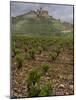 Vineyard in stony soil with San Vicente de la Sonsierra Village, La Rioja, Spain-Janis Miglavs-Mounted Photographic Print