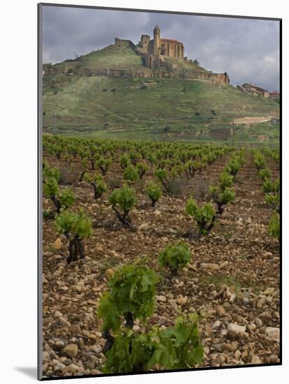 Vineyard in stony soil with San Vicente de la Sonsierra Village, La Rioja, Spain-Janis Miglavs-Mounted Photographic Print